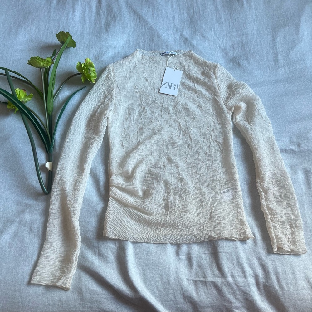 Zara long sleeve rigged transparent top